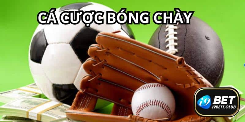 Cá cược bóng chày trên sảnh I9BET Crown Sports rất thú vị