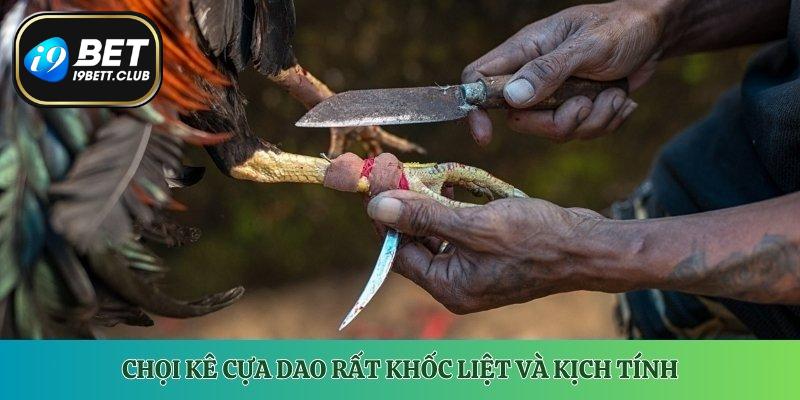 Chọi kê cựa dao rất khốc liệt và kịch tính