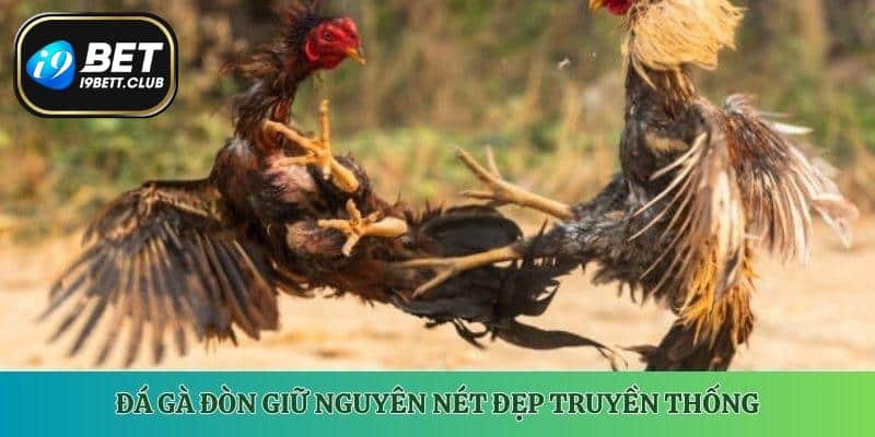 Đá gà đòn giữ nguyên nét đẹp truyền thống