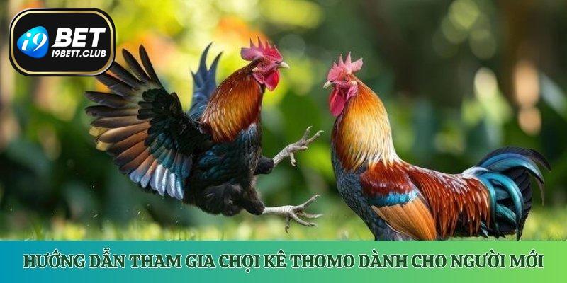 Hướng dẫn tham gia i9Bet chọi kê Thomo dành cho người mới